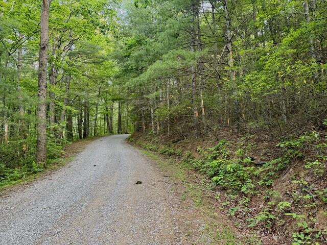 1 Ridge Hollow Rd, Del Rio, TN 37727