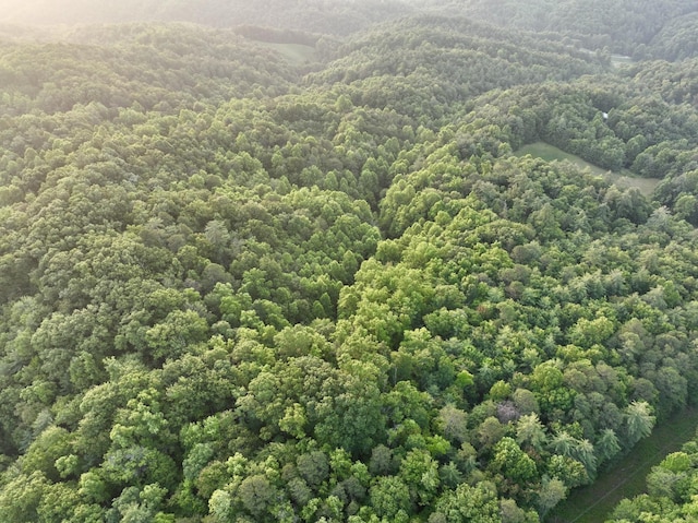 1 Ridge Hollow Rd, Del Rio, TN 37727