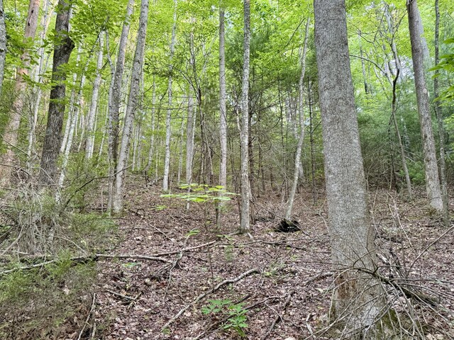 1 Ridge Hollow Rd, Del Rio, TN 37727