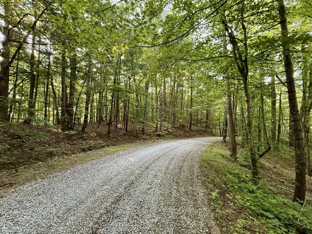 1 Ridge Hollow Rd, Del Rio, TN 37727