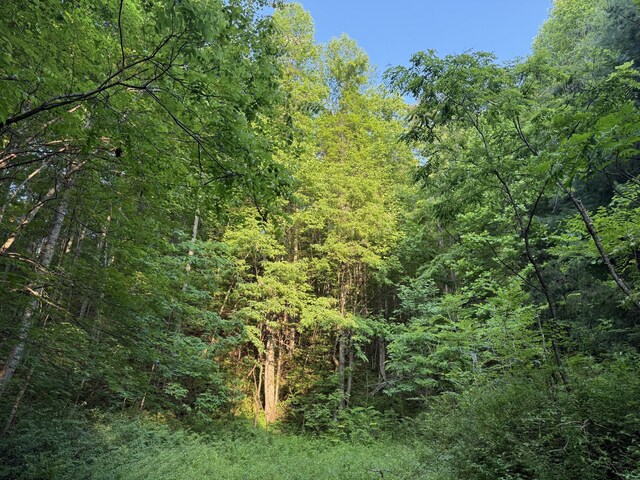 1 Ridge Hollow Rd, Del Rio, TN 37727