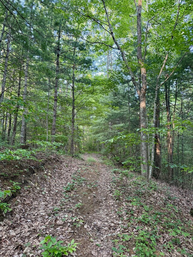 1 Ridge Hollow Rd, Del Rio, TN 37727