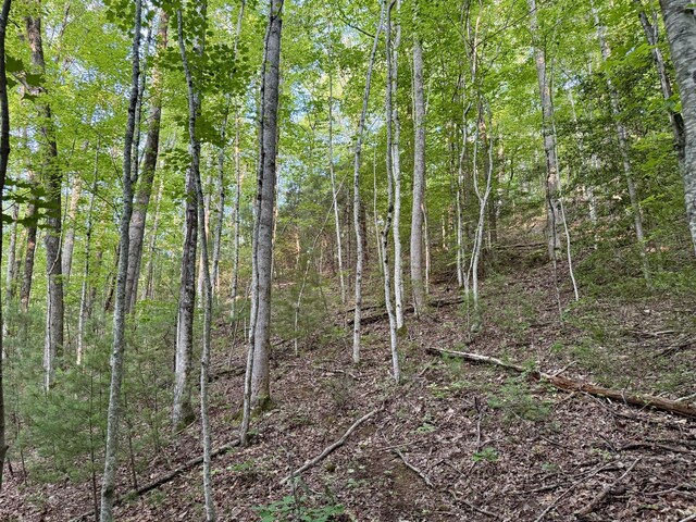 1 Ridge Hollow Rd, Del Rio, TN 37727