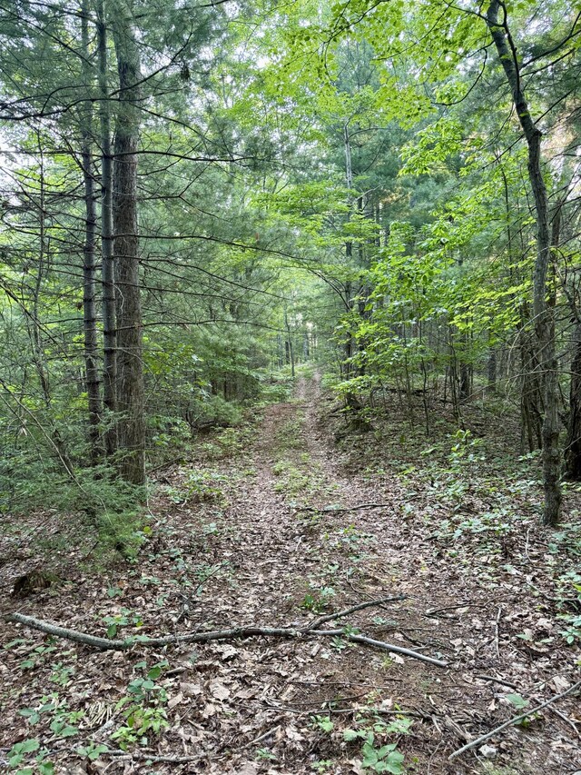1 Ridge Hollow Rd, Del Rio, TN 37727