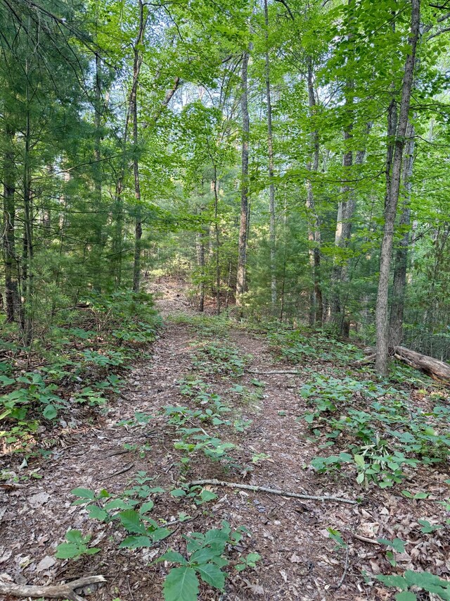 1 Ridge Hollow Rd, Del Rio, TN 37727