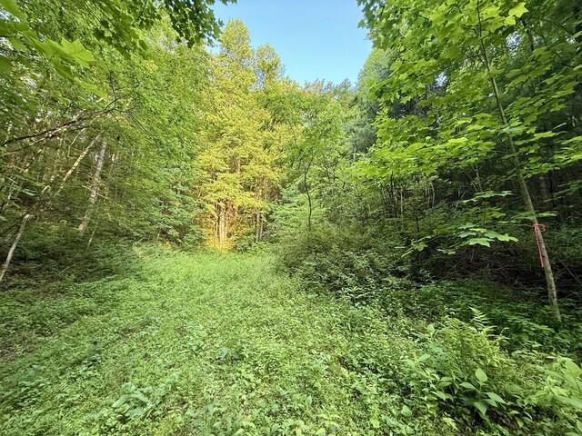 1 Ridge Hollow Rd, Del Rio, TN 37727
