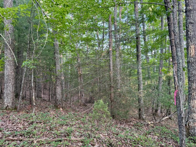 1 Ridge Hollow Rd, Del Rio, TN 37727