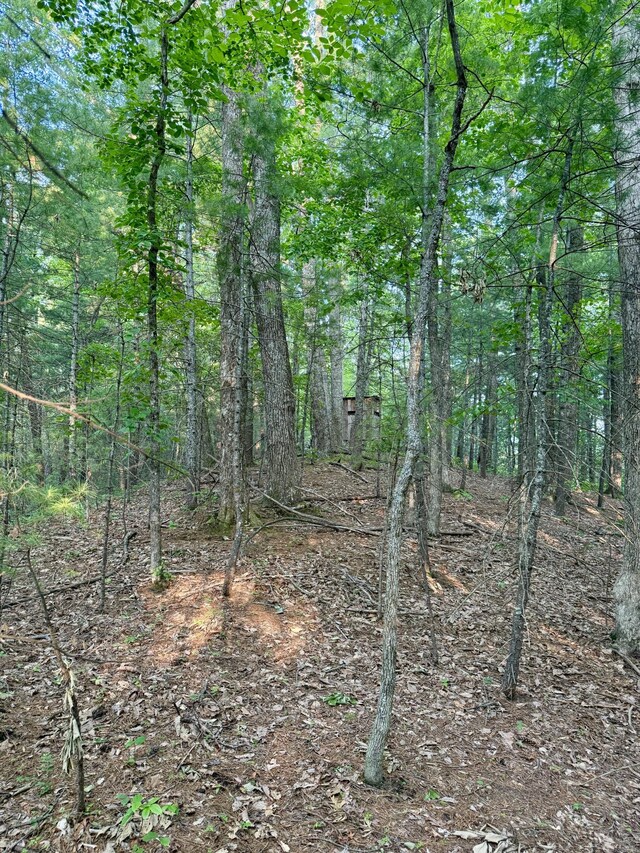 1 Ridge Hollow Rd, Del Rio, TN 37727