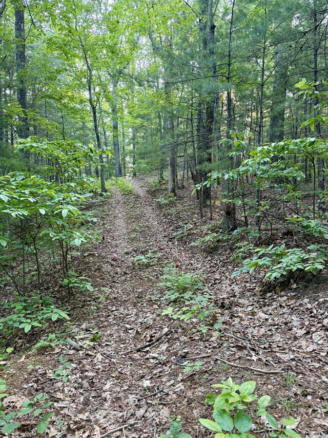 1 Ridge Hollow Rd, Del Rio, TN 37727