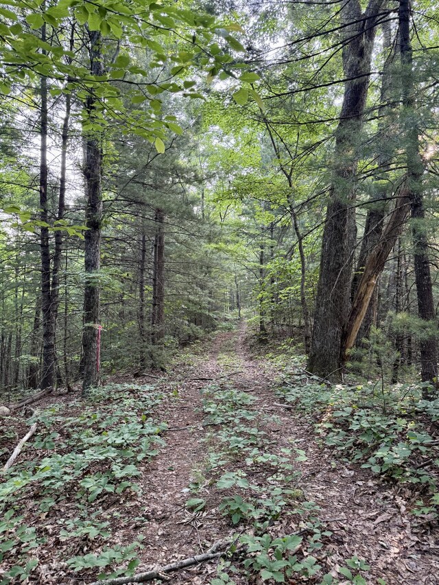 1 Ridge Hollow Rd, Del Rio, TN 37727