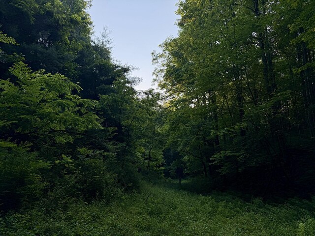 1 Ridge Hollow Rd, Del Rio, TN 37727