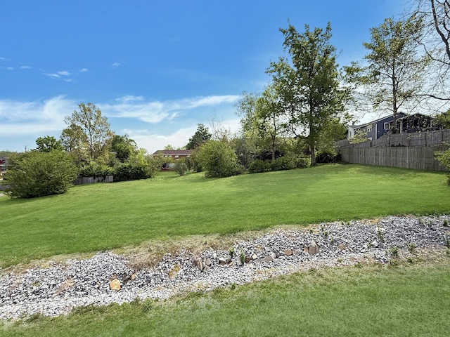 3113 Stafford Dr, Nashville, TN 37214 - view of yard