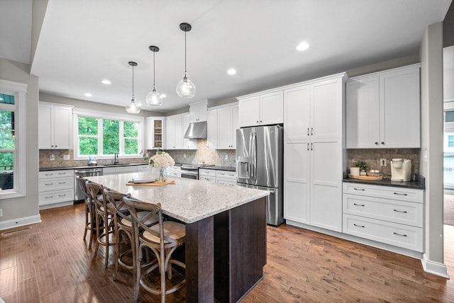982 Red Bluff Way, Adams, TN 37010 - kitchen with appliances with stainless steel finishes, under cabinet range hood, tasteful backsplash, wood finished floors, and recessed lighting
