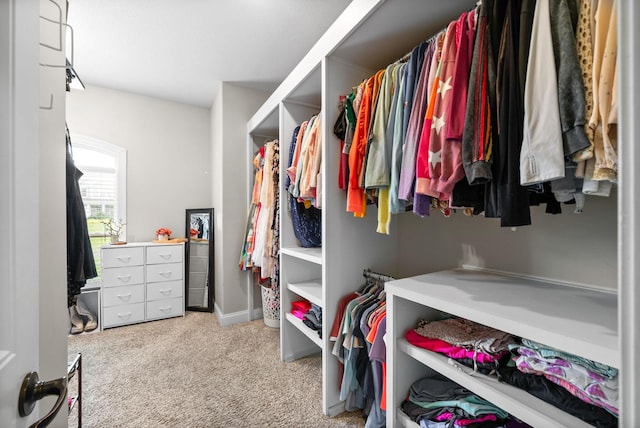 982 Red Bluff Way, Adams, TN 37010 - spacious closet with carpet floors