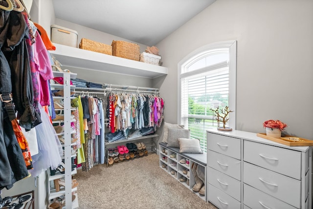 982 Red Bluff Way, Adams, TN 37010 - walk in closet featuring carpet flooring and lofted ceiling