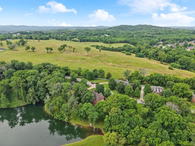 1925 Vicksburg Ln, Lebanon, TN 37087 - photo 6