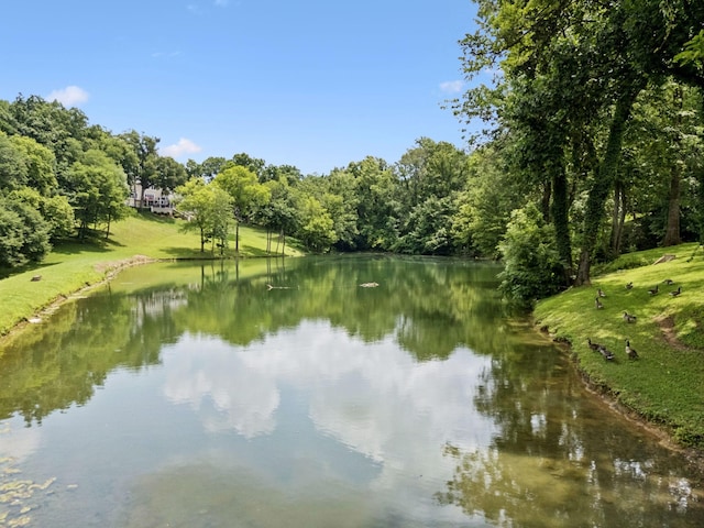 1925 Vicksburg Ln, Lebanon, TN 37087 - photo 86