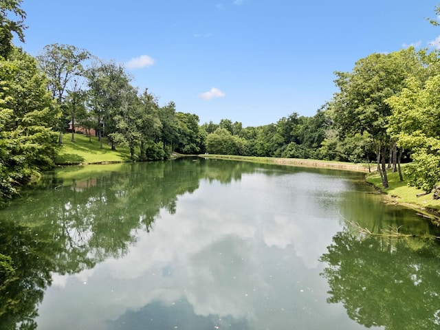1925 Vicksburg Ln, Lebanon, TN 37087 - photo 82