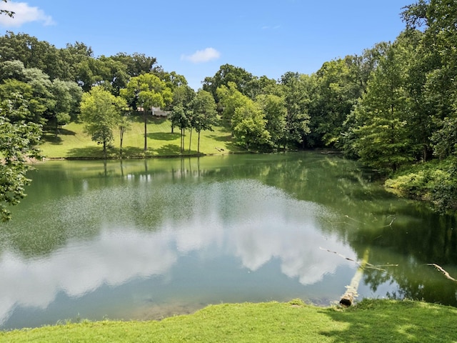 1925 Vicksburg Ln, Lebanon, TN 37087 - photo 83