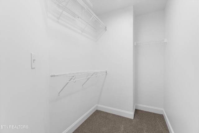241 Hillside Ln, Lenoir City, TN 37771 - walk in closet featuring dark carpet