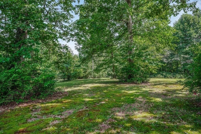 852 Eastland Rd, Sparta, TN 38583 - view of woods