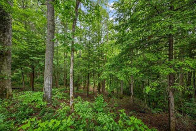 439 Ferry Bend Trl, Crossville, TN 38571 - view of wooded area