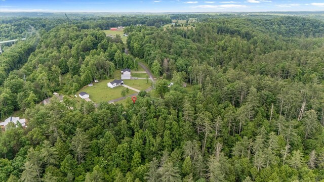 439 Ferry Bend Trl, Crossville, TN 38571 - view of property location with a forest