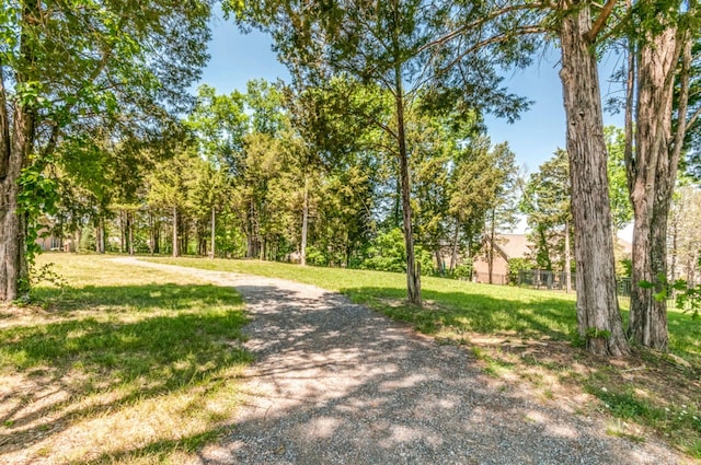 9805 Albemarle Ln, Brentwood, TN 37027 - photo 68