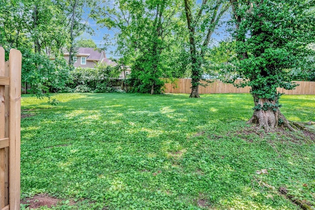211 Brattlesboro Pl, Nashville, TN 37204 - photo 25