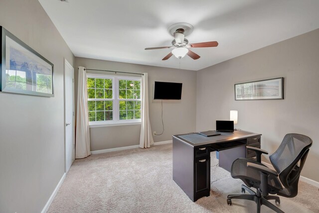 211 Brattlesboro Pl, Nashville, TN 37204 - photo 21