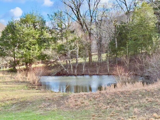 161 Fowler Rd, Woodbury, TN 37190 - photo 49