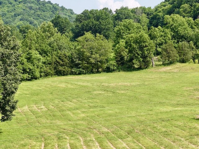 161 Fowler Rd, Woodbury, TN 37190 - photo 15