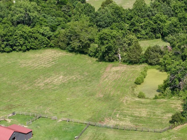 161 Fowler Rd, Woodbury, TN 37190 - photo 61