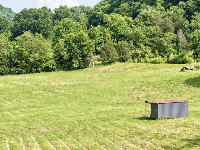 161 Fowler Rd, Woodbury, TN 37190 - photo 14