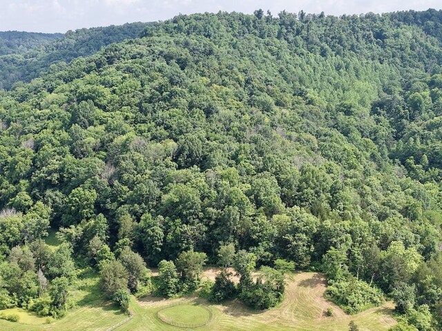 161 Fowler Rd, Woodbury, TN 37190 - photo 68