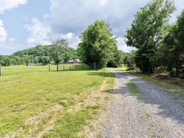 161 Fowler Rd, Woodbury, TN 37190 - photo 69
