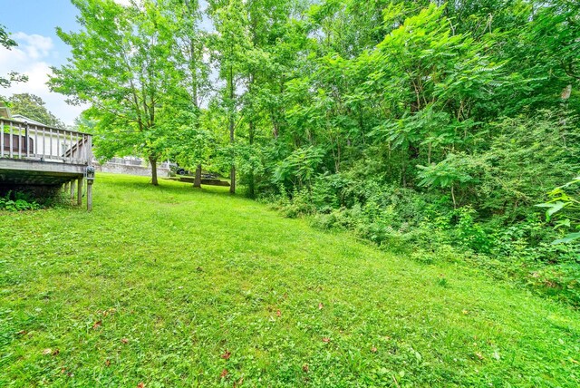 122 Annette Dr, Ashland City, TN 37015 - photo 29