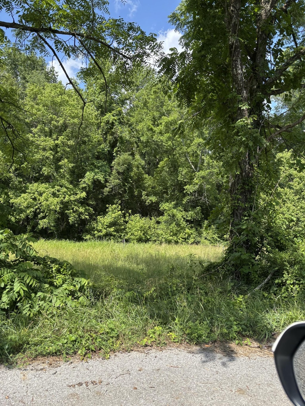 0 Chapel Rd, Tullahoma, TN 37388 - photo 4