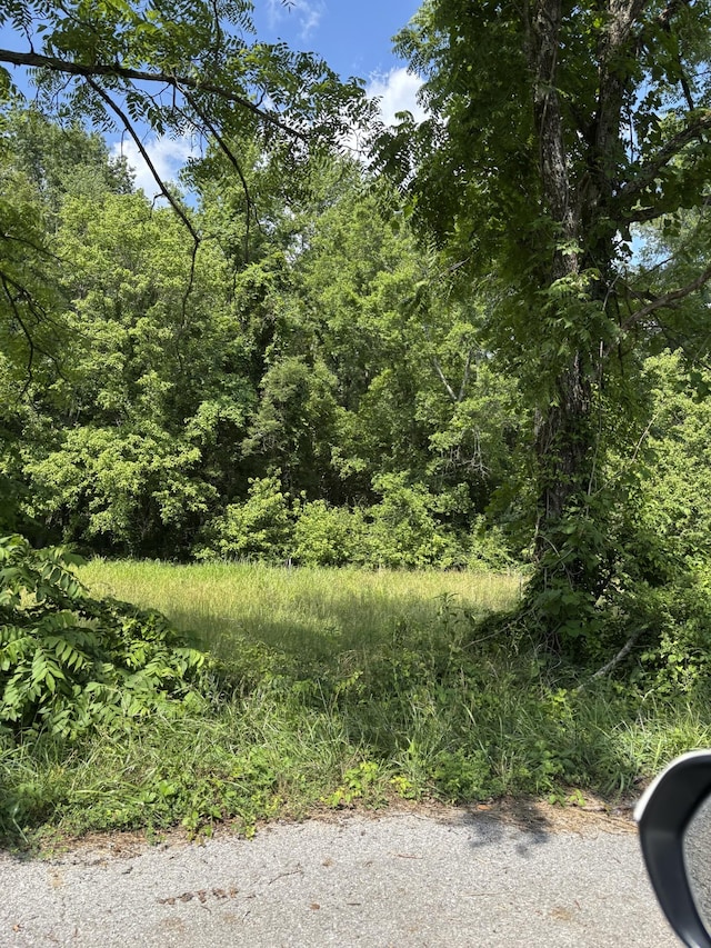 0 Chapel Rd, Tullahoma, TN 37388 - photo 4