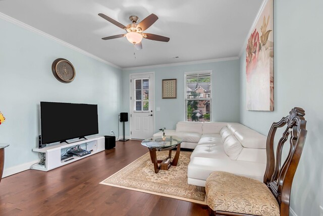 2564 Wellesley Square Dr, Thompsons Station, TN 37179 - photo 9