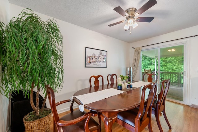 406 Hickory Ct, Goodlettsville, TN 37072 - photo 13