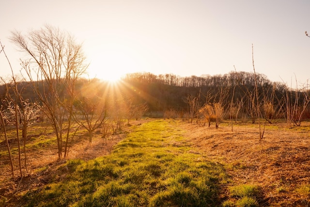 5495 Leipers Creek Rd, Franklin, TN 37064