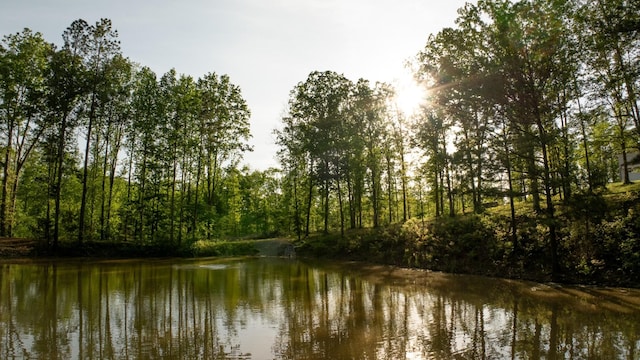 7948 Daugherty Capley Rd, Primm Springs, TN 38476