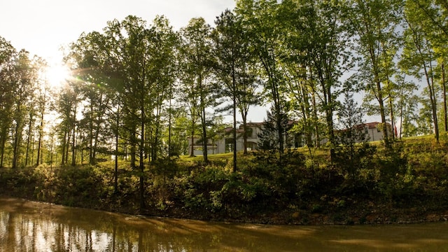7948 Daugherty Capley Rd, Primm Springs, TN 38476