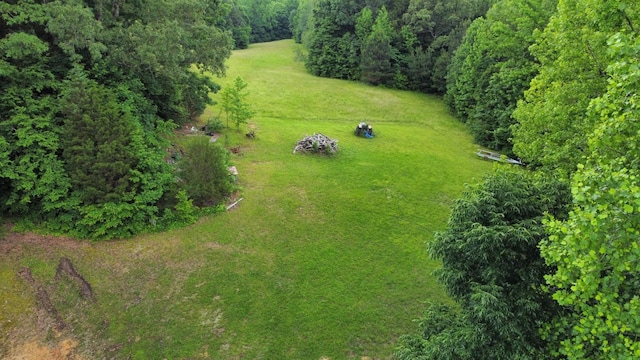 241 Peterson Loop, Holladay, TN 38341 - aerial view