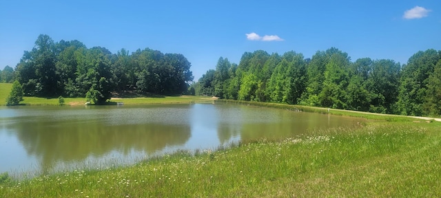 241 Peterson Loop, Holladay, TN 38341 - water view with a forest