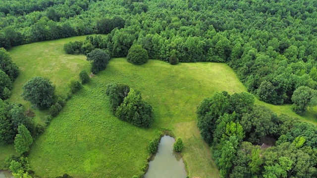 241 Peterson Loop, Holladay, TN 38341 - aerial view