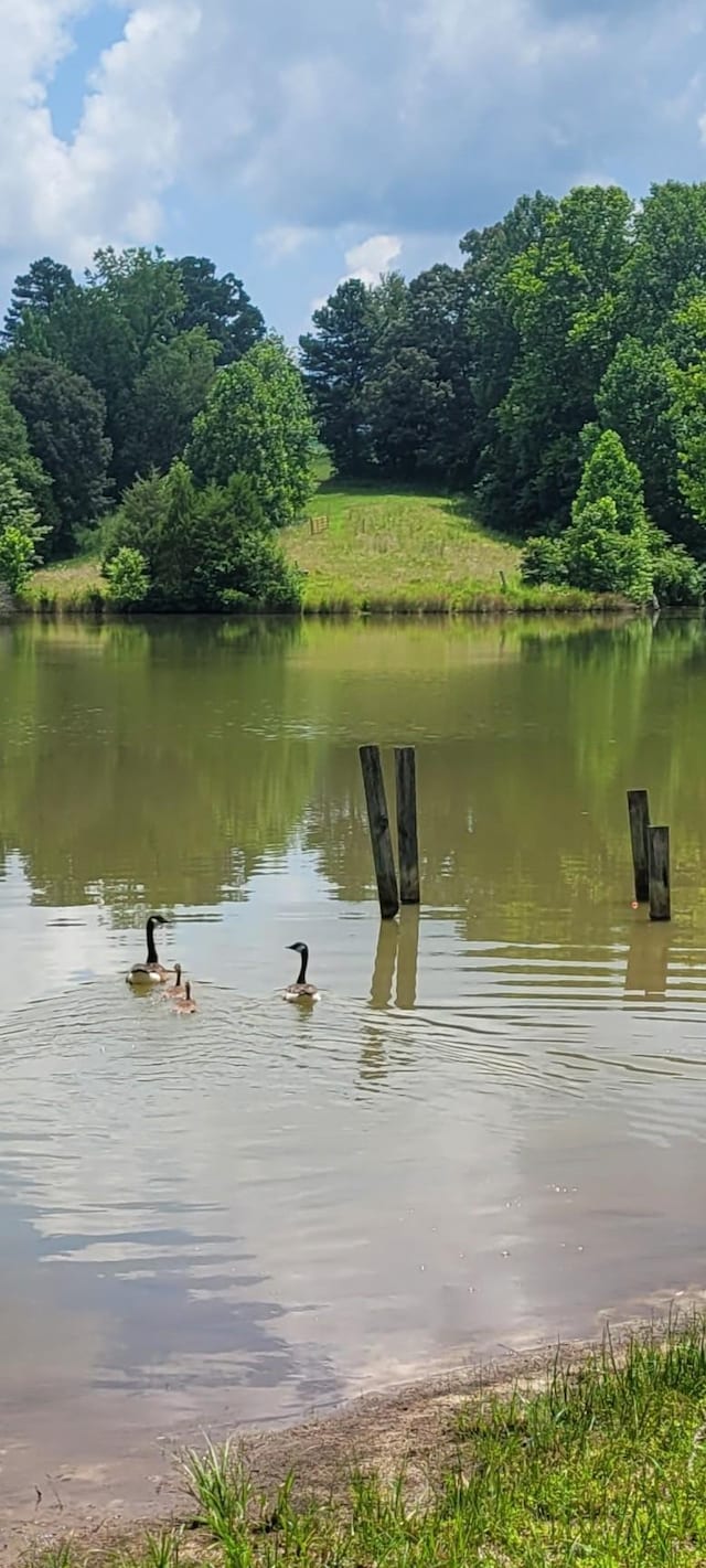 241 Peterson Loop, Holladay, TN 38341 - water view
