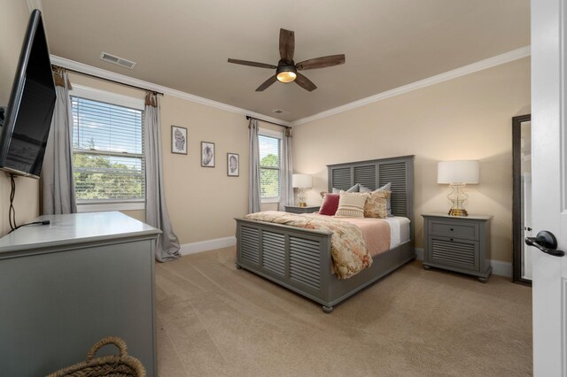 768 Alameda Ave, Nolensville, TN 37135 - photo 25