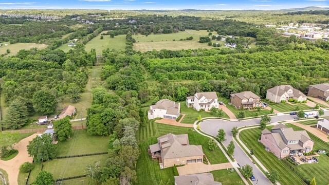 768 Alameda Ave, Nolensville, TN 37135 - photo 89